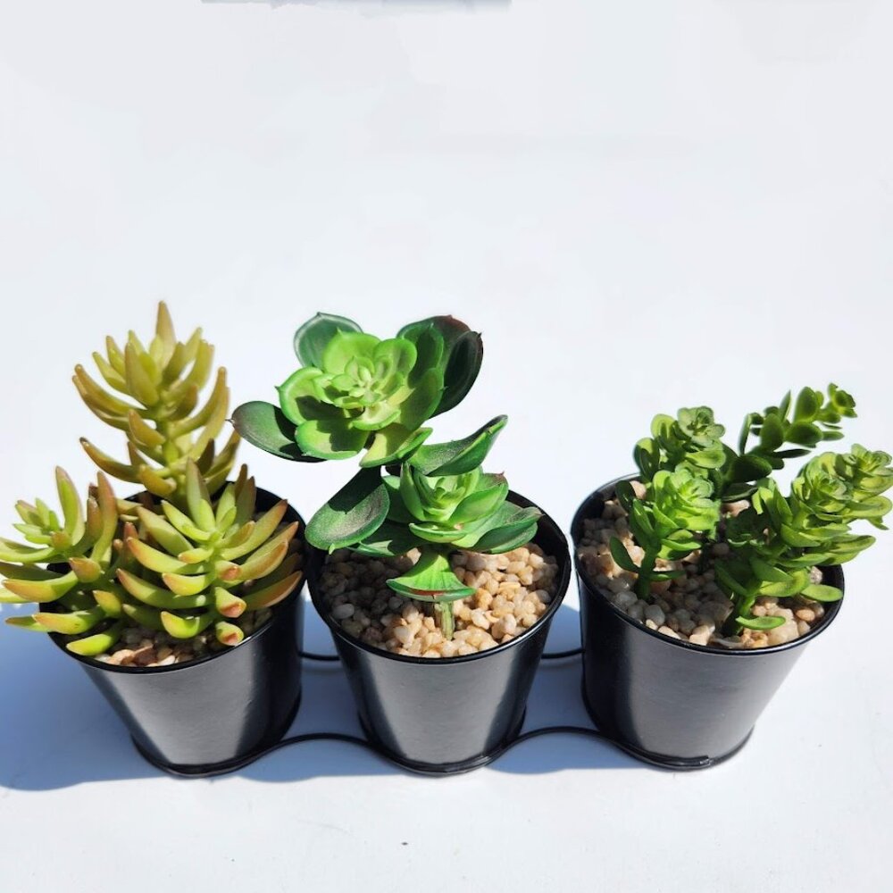 Succulents Trio Faux Plants Office Desk Bookshelf Decor Decorations Greenery